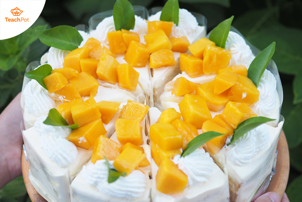 Basic Cake Class  คลาสเรียนทำขนมสำหรับผู้เริ่มต้น  [คลาสส่วนตัว] เรียนทำเค้ก สอนทำเค้ก เค้กเบื้องต้น