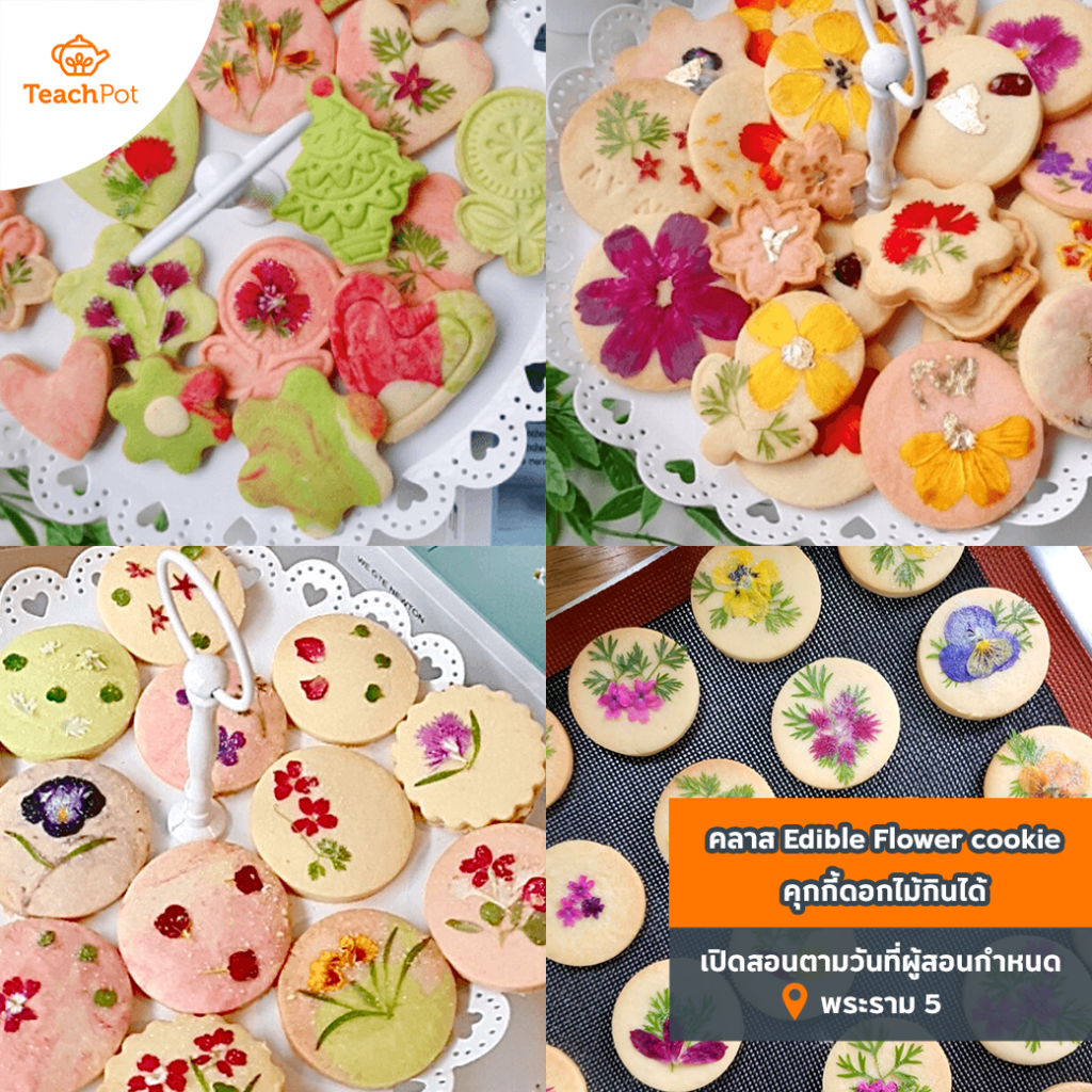 คลาส Edible Flower cookie - คุกกี้ดอกไม้กินได้ คุกกี้ปีใหม่ คุกกี้ของฝาก สอนทำคุกกี้ เรียนทำคุกกี้